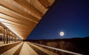 ZENリトリート ディナープラン