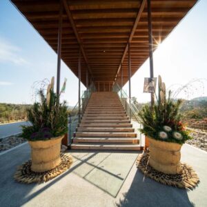 【年末年始】初日の出×ZEN Stay