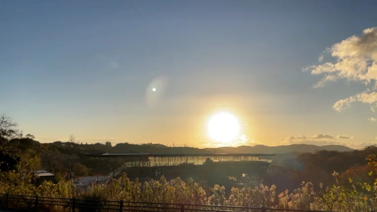 Winter season only in January and February] Morning ZEN Wellness