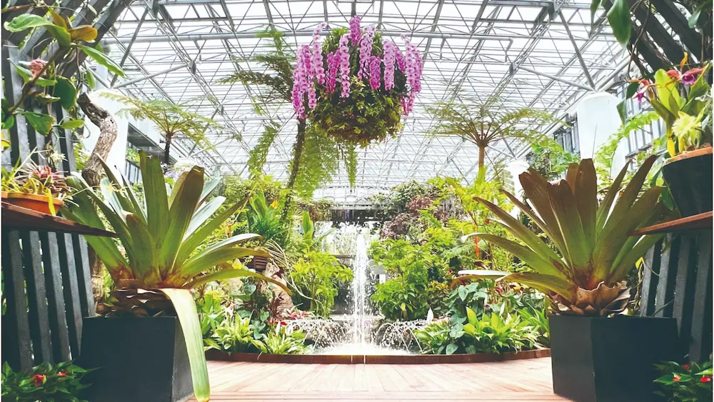 あわじグリーン館